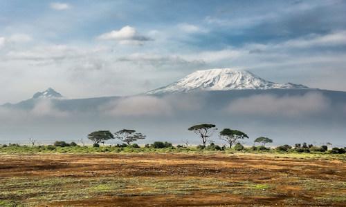 Numerous large mammals have been documented with video traps on Mount Kilimanjaro …: Archive Photo: Sergey Pesterev