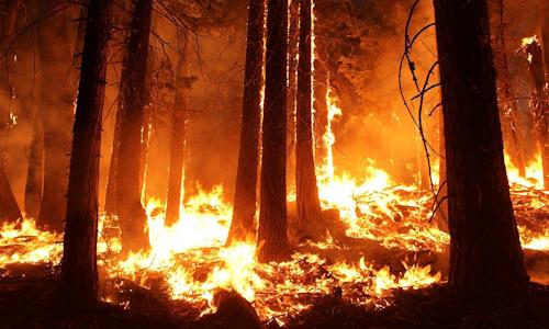 Southern California wildfire (illustration) grows, homes evacuated BANNING, Calif. — Thousands of people… Photo: Skeeze